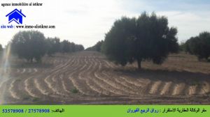 للبيع بالقيروان أرض فلاحية بالنبش