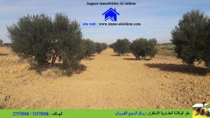للبيع أرض بالنبش بالقيروان