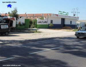 huilerie huile à Kairouan route sousse - 0188