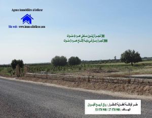 للبيع سانية بالشبيكة العوامرية -0478