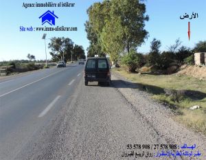 0677 - سانية للبيع بالقيروان طريق الرقادة الرئيسي مساحتها 5،5 هكتار