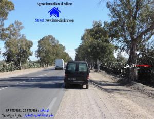 0692 - للبيع بالقيروان طريق الشبيكة الرئيسي سانية مساحتها 2.5 هكتار