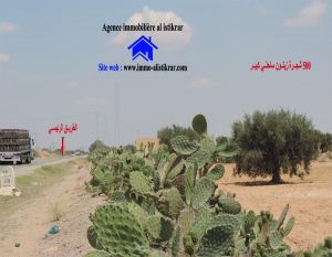 0717 - للبيع بالقيروان قرب الشراردة على الطريق الرئيسي