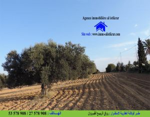 0778 - للبيع بالقيروان الخزازية سانية مساحتها 3 هكتار