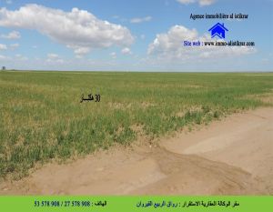 للبيع أرض فلاحية بيضاء بالغابات 30 هكتار - 0803