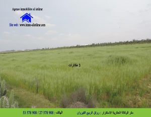 - 0807 للبيع بالقيروان القطرانية أرض فلاحية بيضاء