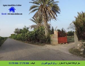 سانية للبيع بالقيروان السبيخة عين بومرة - 0821