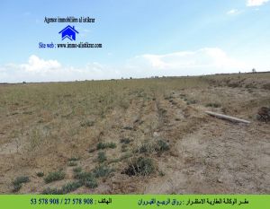 للبيع أرض فلاحية بيضاء بذراع التمار القيروان - 0840