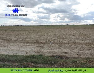 للبيع بالقطرانية القيروان أرض فلاحية بيضاء -0841