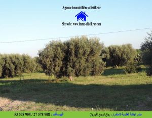 للبيع بالقيروان القطرانية سانية