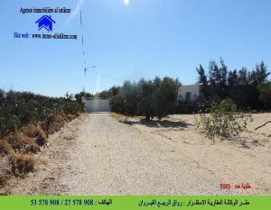 0934 لبيع برقادة قبل الكلية سانية