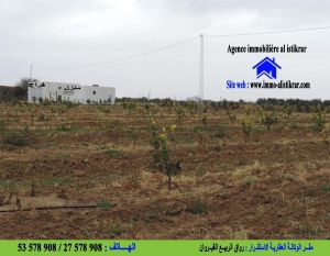 سانية للبيع بالقيروان طريق الرقادة الرئيسي