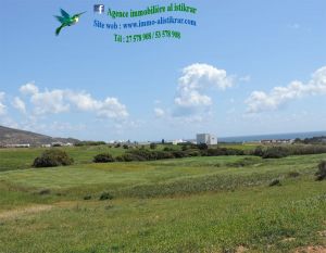 Terrain a hawaria de 1 hectare - 0174