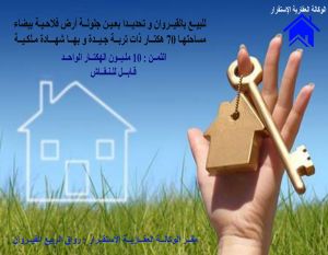 un terrain agricole de 70 hectare situé à ain jloulla kairouan - 0205