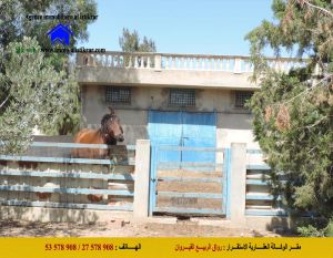 - 0750 - للبيع سانية بالقيروان مساحتها 9.5 هكتارات