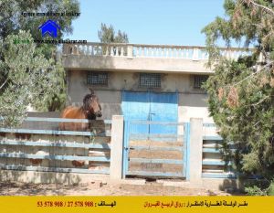 للبيع سانية بالقيروان مساحتها 9.5 هكتارات