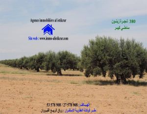للبيع سانية علي الطريق الرئيسي طريق تونس