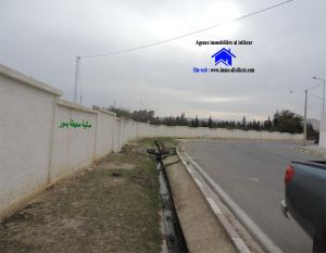 0686 - سانية بعين جلولة وسط المدينة