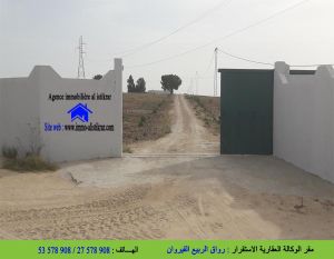 إستثمار فلاحي بالوسلاتية - 0830